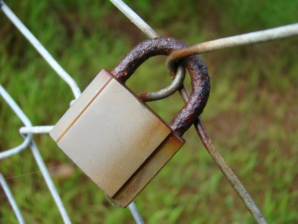 What Is an SSL Certificate and Does Your Business Website Need One?