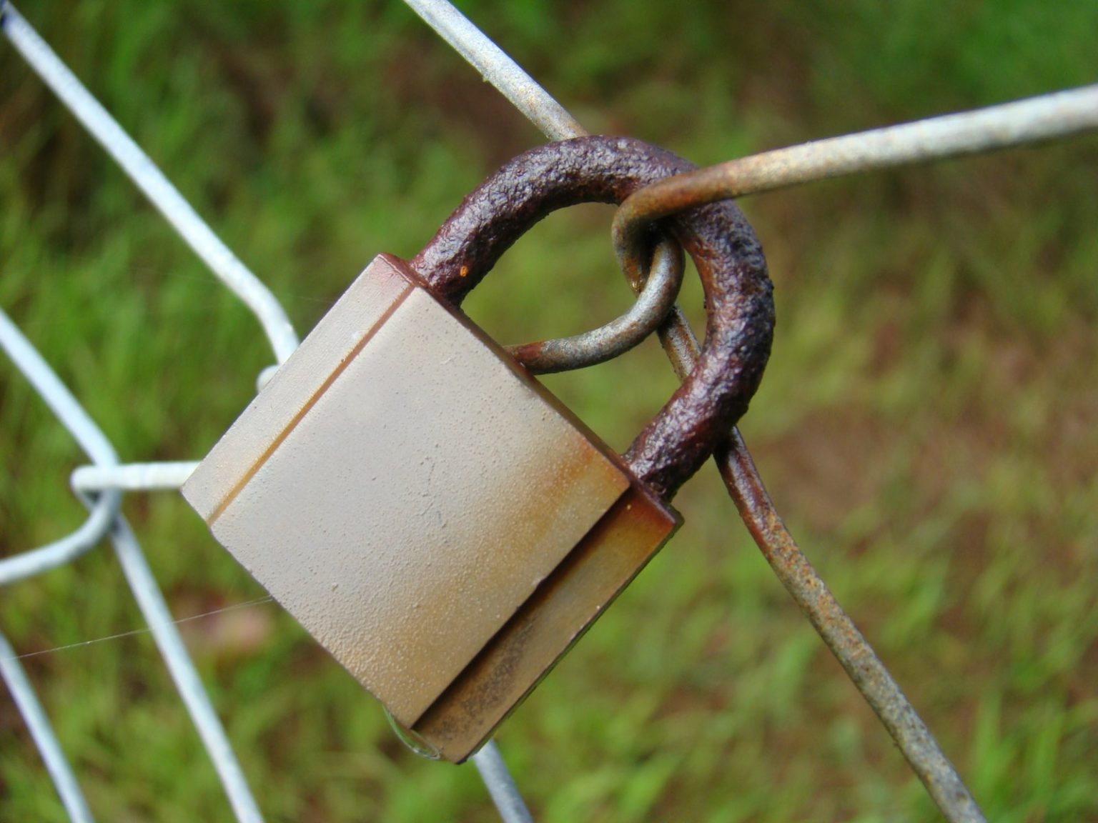 What Is an SSL Certificate and Does Your Business Website Need One?